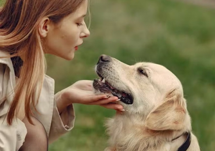 ESTA É PRA VOCÊ QUE GOSTA DE CONVERSAR COM SEU PET