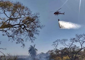 FOGO JÁ DESTRUIU 400 HECTARES DE MATA EM SÃO JOÃO DA SERRA NEGRA