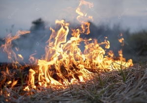 MINAS GERAIS BATE RECORDE DE INCÊNDIOS FLORESTAIS EM UMA DÉCADA