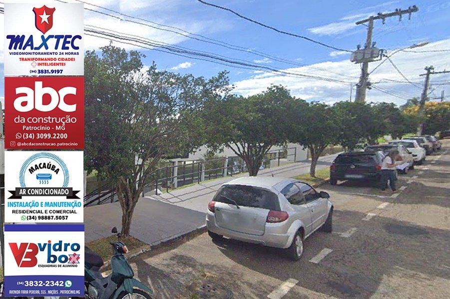 COM PAUTA ENXUTA, CÂMARA VAI COMEÇAR A DEBATER PROIBIÇÃO DE PLANTIO DE MURTA NA CIDADE