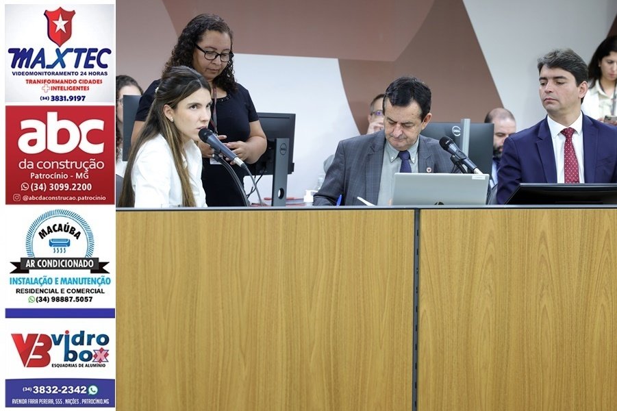 MARIA CLARA MARRA É ELEITA PRESIDENTE DA COMISSÃO QUE VAI INDICAR DIRETORIA DA ARTEMIG