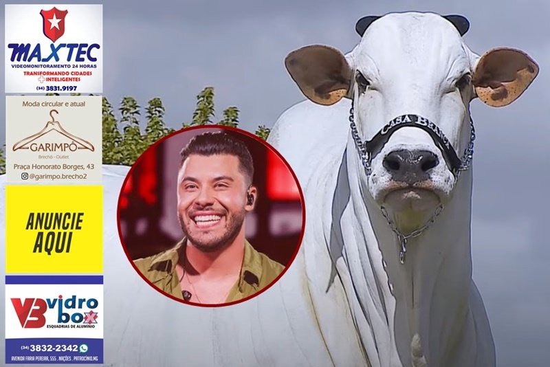 CANTOR MURILO HUFF VIRA UM DOS DONOS DA VACA MAIS CARA DO MUNDO