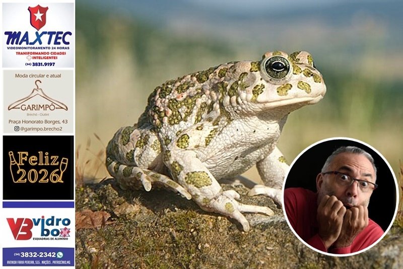 HOMEM DE 35 ANOS ENTRA EM PÂNICO POR CAUSA DE SAPO DENTRO DE CASA