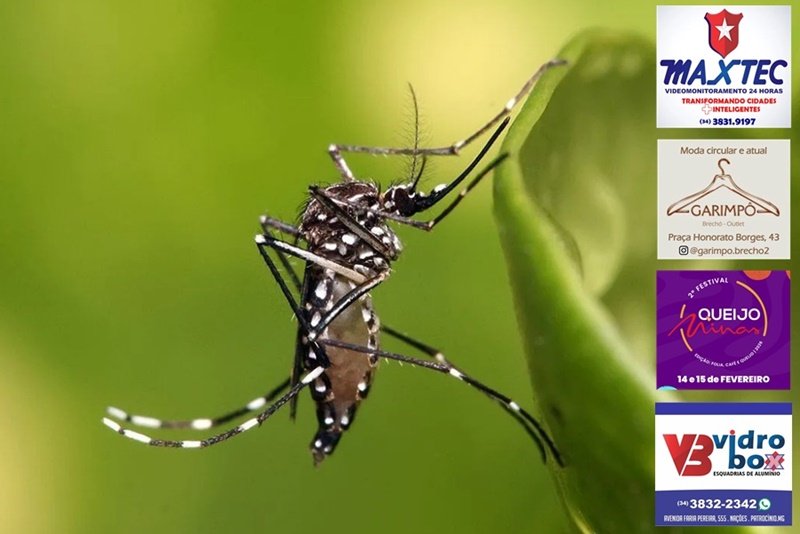 SAÚDE PROMOVE DIA D CONTRA A DENGUE COM VACINAÇÃO E AÇÕES EDUCATIVAS