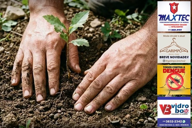 ESTUDANTES PARTICIPAM DE PLANTIO DE MUDAS EM PATROCÍNIO NA QUINTA, 26 DE MARÇO