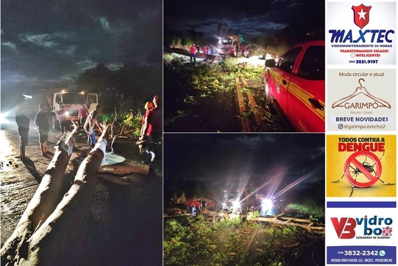 QUEDA DE EUCALIPTO NA BR-365 INTERDITOU PISTA, MOBILIZANDO BOMBEIROS E PRF