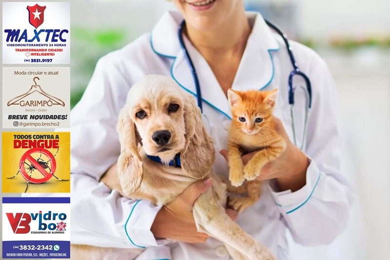 MP PEDE NOVA AVALIAÇÃO JUDICIAL EM DESAPROPRIAÇÃO DE ÁREA DO FUTURO HOSPITAL VETERINÁRIO