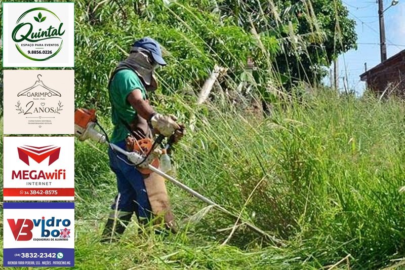 PREFEITURA NOTIFICA PROPRIETÁRIOS DE 89 TERRENOS PARA LIMPEZA EM PATROCÍNIO; PRAZO É DE 10 DIAS ÚTEIS